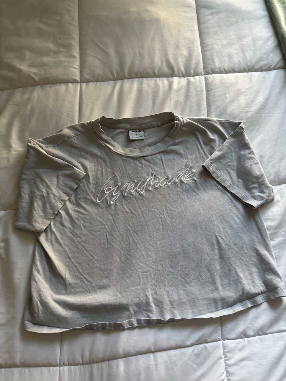 Gymshark Embroidered Script Tee — Light Gray - Picture 2 of 4